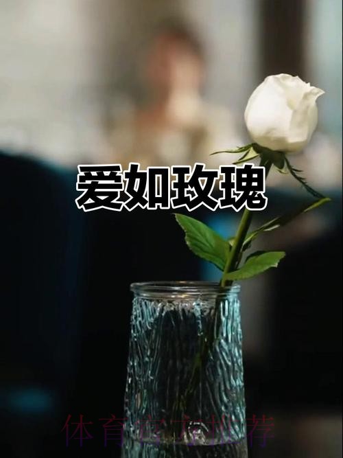 请听,玫瑰在绽放;请待,玫瑰再绽放! 请听,玫瑰在绽放;请待,玫瑰再绽放!